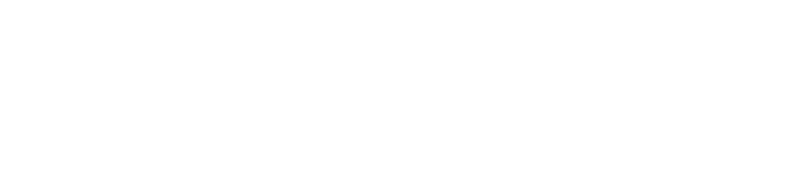 logo electric scooter 24 ---